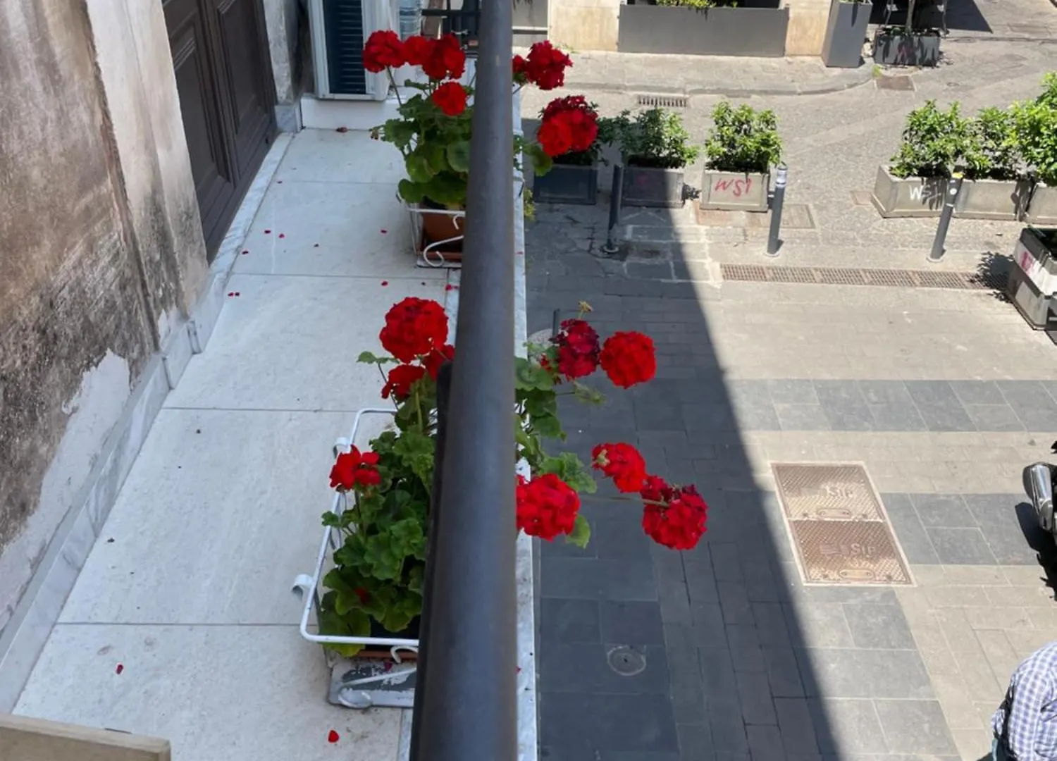 Apartament Gemmellaro 67 Katania